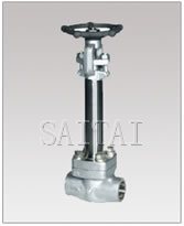 Forged Cryogenic Gate Valves, Threaded and Socket weld Ends