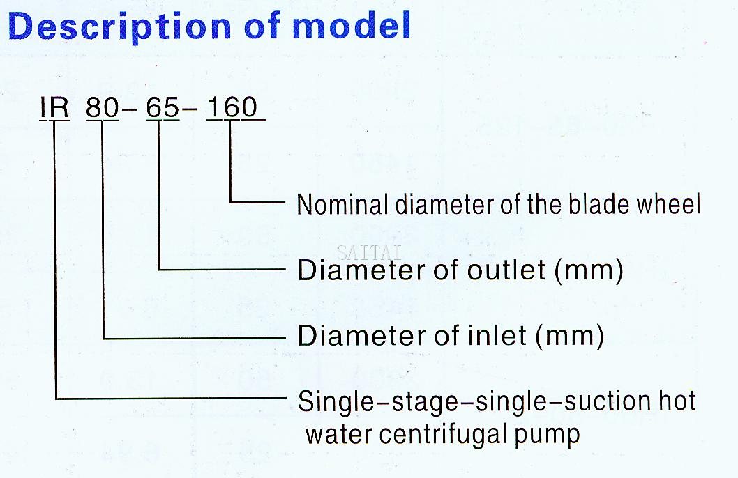 Description of model