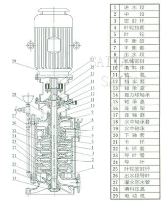 DL、DLR多级泵结构图片