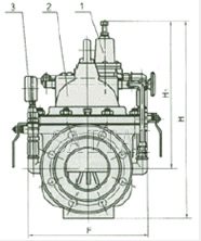 200X 减压阀外形尺寸图2