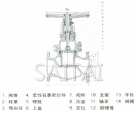 硬密封柱塞闸阀结构图